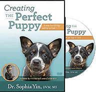 Dr Sophia Yin book