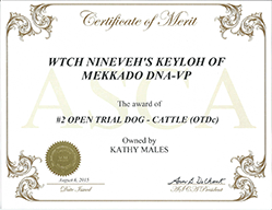 Keyloh Merit OTDc