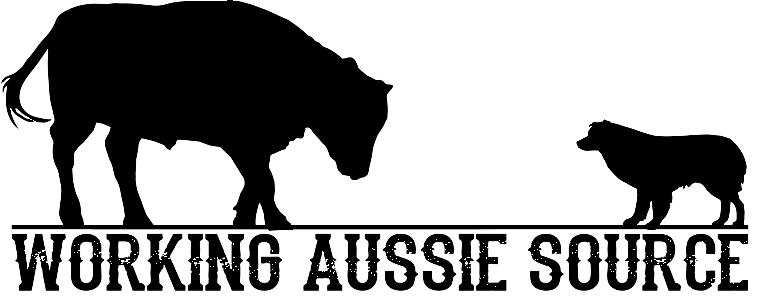 Working Aussie Source logo